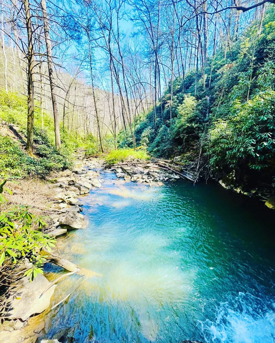 A clear blue creek pool in Appalachian woodland